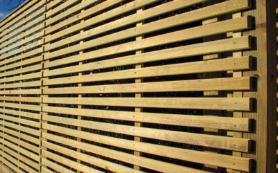 Garden Privacy Solutions for Homes in Taunton