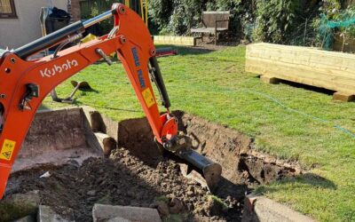 Common Landscaping Mistakes Homeowners Make