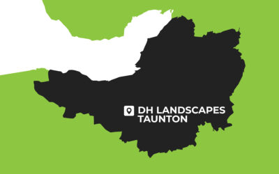 What Does a Landscape Gardener in Taunton Do?